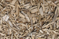 biomass boilers Tyddyn Dai